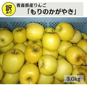 りんご 訳あり もりのかがやき 青森県産 3.0kg 送料無料 【6108】