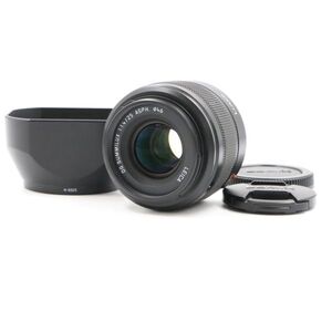 【極上品】PANASONIC Leica ライカ DG SUMMILUX 25mm F1.4