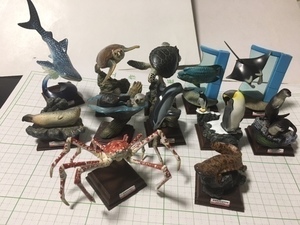  ネイチャーテクニカラー 海遊館ミュージアム フィギュア 全12種類 フルコンプ セット タカアシガニ オオサンショウウオ 水族館 奇譚クラブ