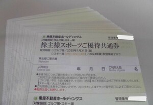 東急不動産株主様スポーツご優待共通券2枚　数量9　ゴルフ場　スキー場(グリーンシーズン)