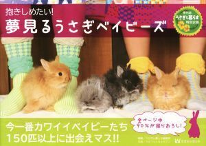 抱きしめたい！夢見るうさぎベイビーズ 季刊誌 うさぎと暮らす特別企画/うさぎと暮らす編集部(編者),うさフォトカメラマン