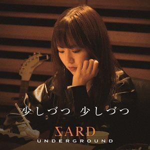 少しづつ 少しづつ（初回限定盤／CD＋DVD） SARD UNDERGROUND