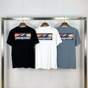 1000円スタート パタゴニア patagonia Tシャツ 半袖 丸首 背中イラスト 文字ロゴ コットン 男女兼用 XS-3XL サイズ選択可能 ブルー TT180