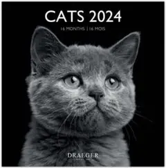 ネコ CATS 2024 カレンダーねこ 猫 DRAEGER Paris 新品