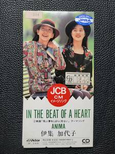 [8cmCD]　伊集加代子／IN THE BEAT OF A HEART