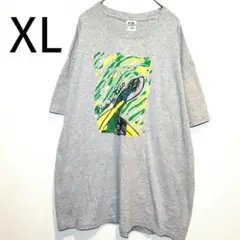 フルーツオンザルーム Tシャツ XL グレー グリーン イエロー ビッグプリント