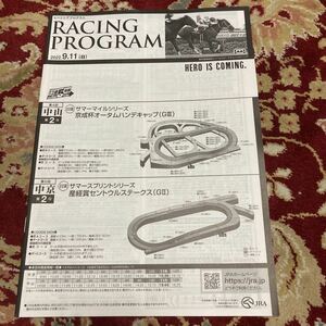 JRAレーシングプログラム2022.9.11(日)セントウルステークス(GⅡ)、京成杯オータムハンデキャップ(GⅢ)