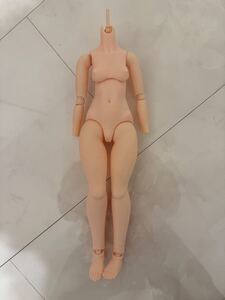 DOLLBOT DBC プラチナ肌　美品 ボディ