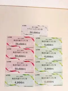 飯田グループホールディングス　株主優待施設共通クーポン　5万円分　株主優待券