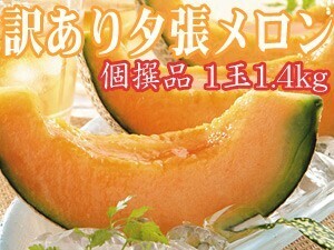 夕張メロン(個撰品) 訳あり 1玉(1.4kg) ご自宅用高級マスクメロン(赤肉メロン)【送料無料】