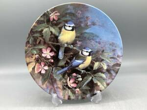 ロイヤルウースター アオガラ 鳥 飾り皿 絵皿 皿 (758)