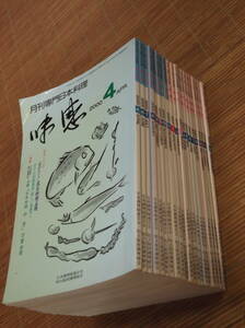 月刊専門日本料理 味感 2000年4～12月号／2001年1～12月号／20冊