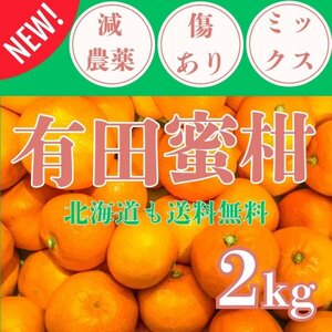 みかん 2kg 和歌山 有田みかん ほぼ無農薬！甘い！農薬少 おいしい ミカン 蜜柑 減農薬 訳あり 見切り品 B ミックス メイン 送料無料3