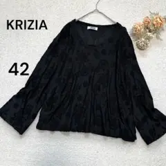 【クリツィアKRIZIA】総刺繍レース　ノーカラーブラウス　プルオーバー　黒42