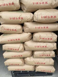 新米　送料無料　茨城県産　令和6年産　コシヒカリ10kg