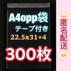 opp袋　A4 テープ付き