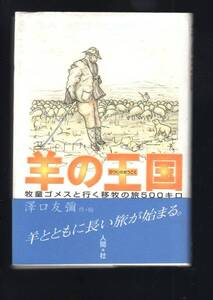 ☆『羊の王国―牧童ゴメスと行く移牧の旅500キロ』沢口 友弥 (著)