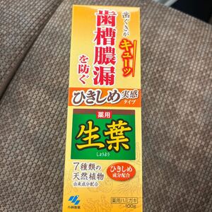 新品未使用　生葉 薬用歯磨き ひきしめ実感タイプ 100g