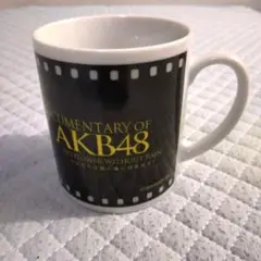 AKB48 マグカップ  ドキュメンタリー