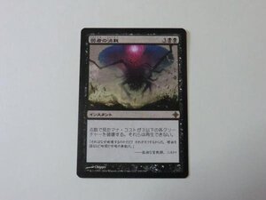 MTG 美品 【弱者の消耗】 （レア） ROE 日 3枚迄