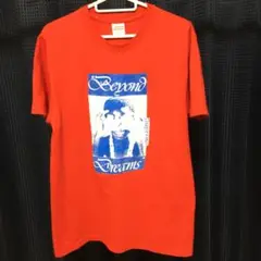 シュプリーム　Tシャツ 13
