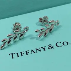 ティファニー　Tiffany　オリーブ　リーフ　ピアス シルバー　925