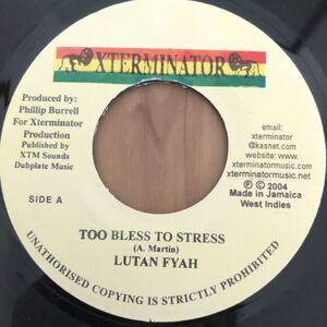 送料無料★レア 大人気 コンシャス・ラガ!! TOO BLESS TO STRESS / LUTAN FYAH★試聴あり