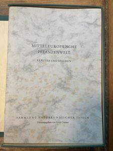 s1122-13.MITTELEUROPAISCHE PFLANZENWELT/世界の植物/プレート/27枚欠あり/デザイン/アート/