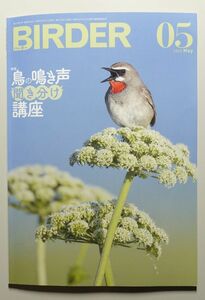 BIRDER 2023年05月号 バーダー　/　文一総合出版　/　野鳥撮影　探鳥　バードウォッチング　鳴き声の聞き分け　識別