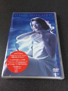 ★☆【DVD】未開封 オーロラ / 川井郁子☆★