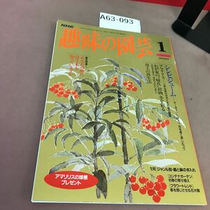 A63-093 NHK趣味の園芸 1 シンビジューム アマリリス 他 平成7年1995 