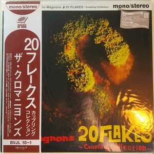 ザ・クロマニヨンズ the cro-magnons LP 20 flakes レコード the blue hearts ザ・ブルーハーツ