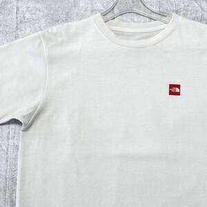 THE NORTH FACE トレッキング スポーツ Tシャツ ノースフェイス　　スクエアロゴ スローガン メッセージ ゴールドウィン 玉10449