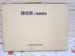 b1/緑化樹と地被植物 山口県造園建設業協同組合 グランドカバープランツ