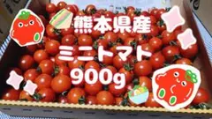 【本日発送】 熊本県産 ミニトマト 900g