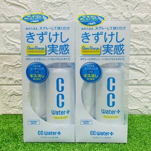 即決 早い者勝ち 新品 未開封 プロスタッフ CCウォータープラス 300ml ※写真では２個写っていますが1個の出品になります 自動車