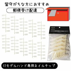 全国送料無料 郵便受け配達 JNEC認定 滝川 STモデルハンド専用 ネイルチップ 10指 10セット ネイリスト技能検定試験