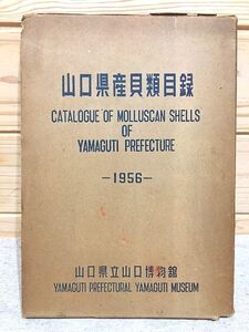 ★7/山口県産貝類目録 河本卓介 田辺澄生 山口県立山口博物館