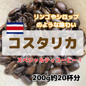 【自家焙煎珈琲200g/20杯分】コスタリカ ジャガー ハニー/ハニープロセス/スペシャルティコーヒー