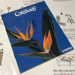 〓★〓古書航空機内誌　『Coralway No.41 1992年3／4月号』SWAL南西航空