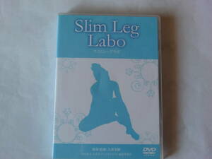 2枚組 DVD Slim Leg Labo スリムレッグラボ 指導・監修 大澤美樹