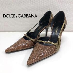 DOLCE&GABBANA パイソン パンプス　ハイヒール