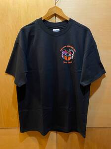 USA製 BLACK CROWES ブラック・クロウズ HIGH AS THE MOON TOUR バンド Tシャツ LOCAL CREW メンズ XL 古着 90S ビンテージ