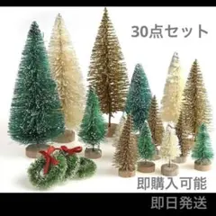 【即購入OK❣️】30点セット クリスマスツリー クリスマス 卓上 置物　オブジェ