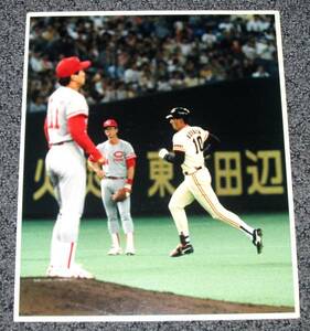 巨人・ジャイアンツ[駒田徳広] 1989年スチール写真