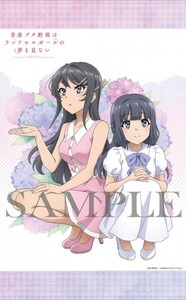 BD 劇場版 青春ブタ野郎はランドセルガールの夢を見ない アニメイト限定版特典 ダブルスエードB2タペストリー 桜島麻衣&牧之原翔子 新品