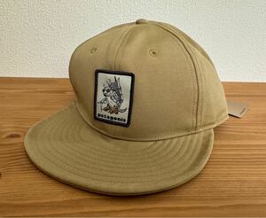 新品 patagonia パタゴニア 50周年 スクラップ エブリデー キャップ アルマジロ 帽子 CAP 33580