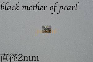 サイドポジションマーク直径2mm 12個 ブラックマザーオブパールblack mother of pearlインレイギター ベース ネック指板ドットdot