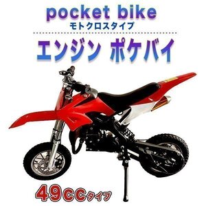 49ccエンジン ポケバイ モトクロスエンジン 赤 ポケットバイク レーシング ミニバイクレース