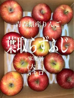 青森県産りんご「葉取らずふじ」家庭用5キロ(大玉)